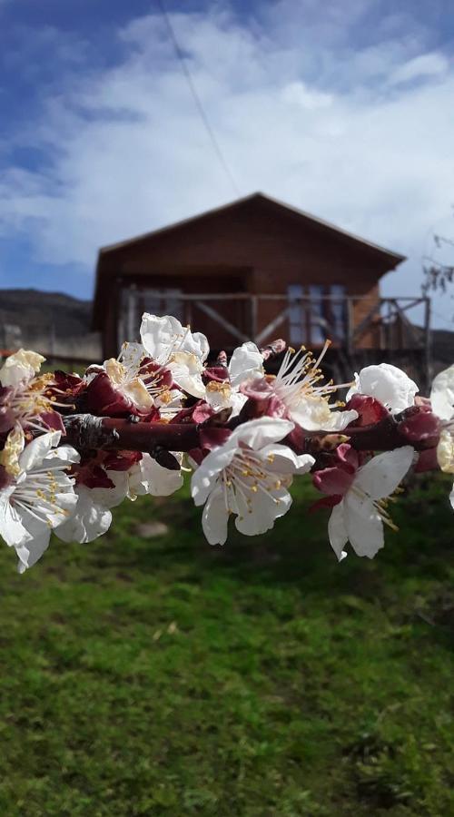 مبيت وإفطار بويرتو غوادال Sol De La Patagonia المظهر الخارجي الصورة